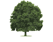 Plashet School